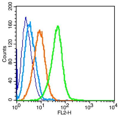 IL-4R antibody