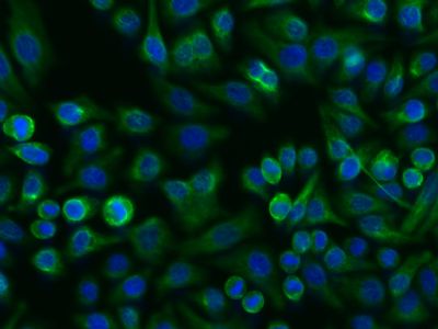 产品细节图片11