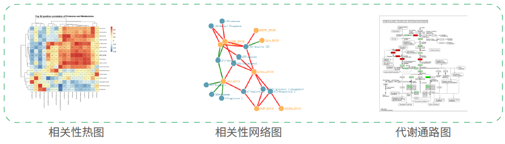 蛋白组转录组关联服务