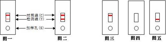 H7亚型禽流感抗原检测卡