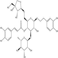 连翘酯苷B81525-13-5