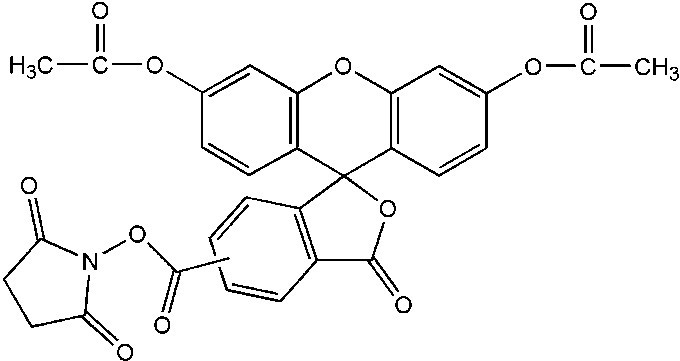 细胞增殖示踪荧光探针销售