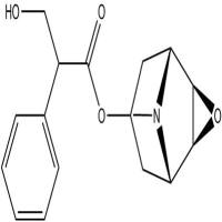 东莨菪碱51-34-3