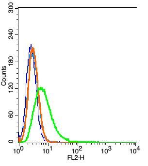 Growth hormone receptor antibo