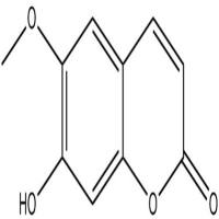 东莨菪内酯92-61-5