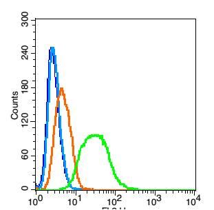 Ribonuclease Inhibitor antibod