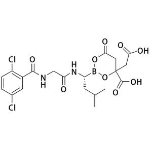 北京现货小鼠抗FGFR2/CD332 抗体打折促销
