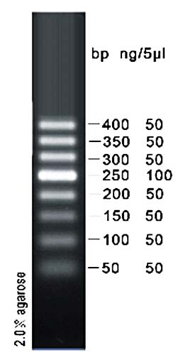 DNA marker(50-400bp)