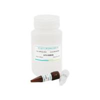 NP40裂解液（带抑制剂）