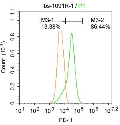 产品细节图片11