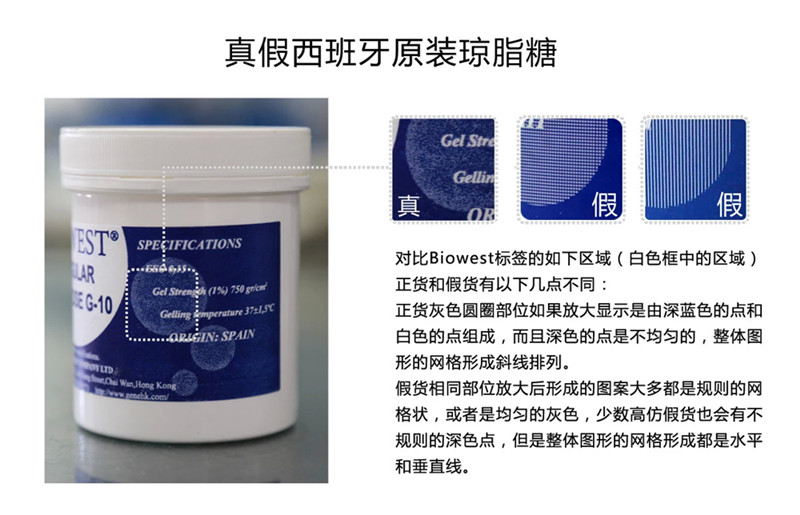 真假西班牙琼脂糖