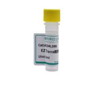 EZ Trans细胞转染试剂（低毒）