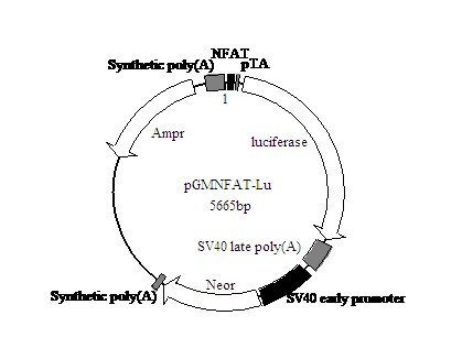 强力溴化乙锭去除剂(国产,进口)