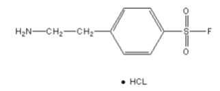 C/EBPβ-Luc荧光素酶报告基因质粒哪里买