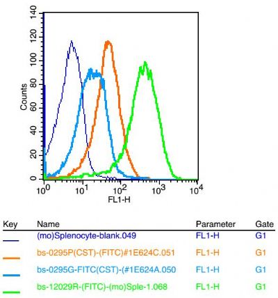GPRC5B antibody