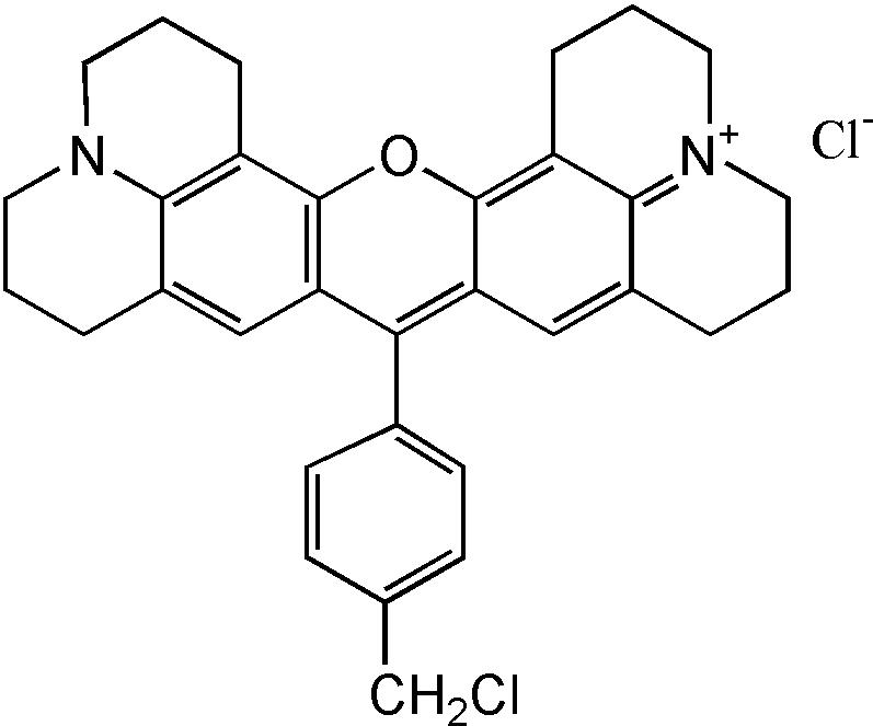 辣根过氧化物酶标记链霉亲和素 分子生物学试剂