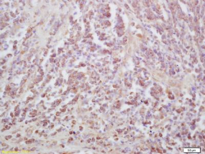 产品细节图片12