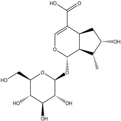 马钱苷酸22255-40-9
