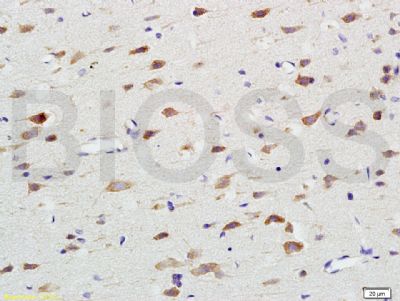 产品细节图片10