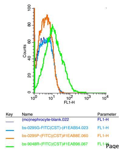 TRPM6瞬时受体电位离子通道蛋白6抗体(M亚家族)