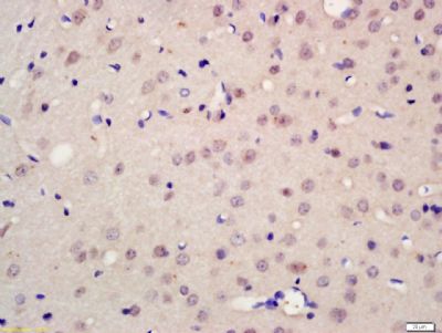 产品细节图片11