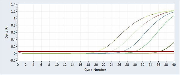 病毒DNA/RNA快速提取试剂盒应用实例