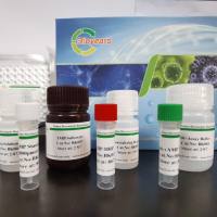 人诱导型一氧Hua氮合酶(NOS2/iNOS)ELISA试剂盒