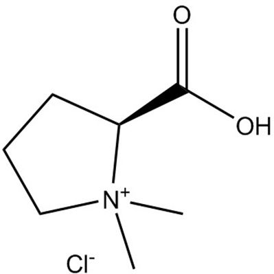 盐酸水苏碱4136-37-2