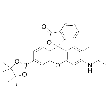 双氧水结构图片