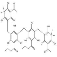 东北贯众素12777-70-7