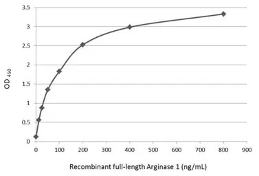 Arginase 1 ELISA Pair