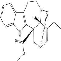 长春质碱2468-21-5