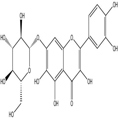 槲皮万寿菊素-7-O-β-吡喃葡萄糖苷548-75-4