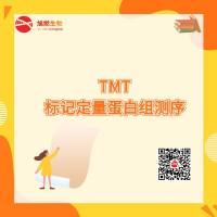 TMT标记定量蛋白组测序