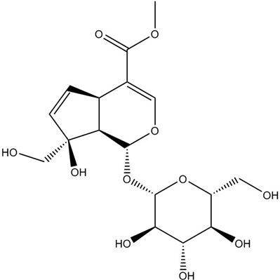 羟基栀子苷24512-62-7