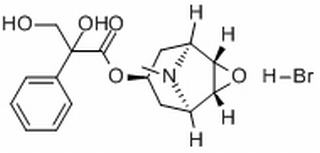 氢溴酸樟柳碱(76822-34-9)分析标准品,HPLC≥9
