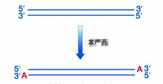 加A试剂盒流程图