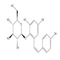 顺式2,3,5,4-四羟基二苯乙烯葡萄糖苷