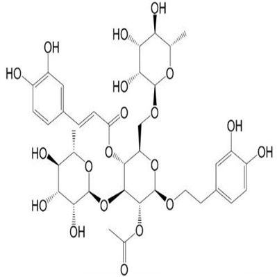 2-乙酰基金石蚕苷133393-81-4