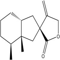 蜂斗菜内酯A19906-72-0