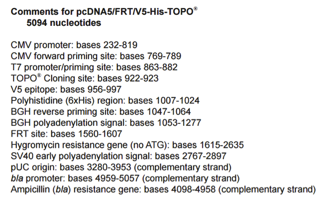 pcDNA5/FRT/V5-His-TOPO
