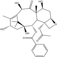 10-脱乙酰基巴卡亭III32981-86-5