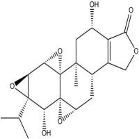 雷公藤乙素38647-10-8