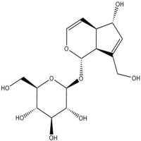 桃叶珊瑚苷479-98-1