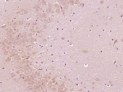 产品细节图片13