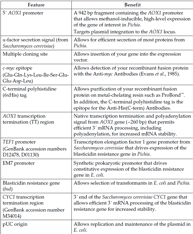 pPIC6&alpha;C 载体特征