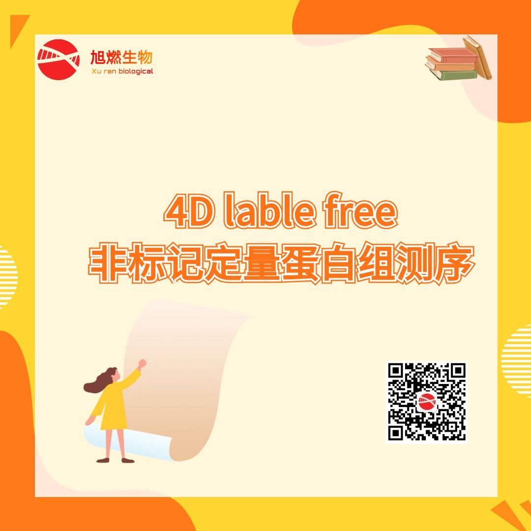 4D lable free非标记定量蛋白组测序