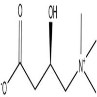 左旋肉碱541-15-1