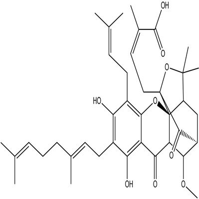 10-甲氧基新藤黄酸2095102-72-8