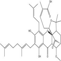 10-甲氧基新藤黄酸2095102-72-8